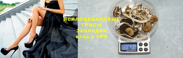 spice Володарск