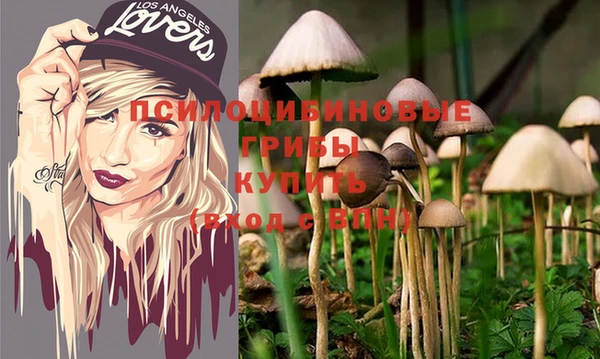 твердый Снежинск