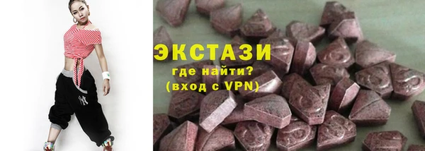 гашик Вяземский