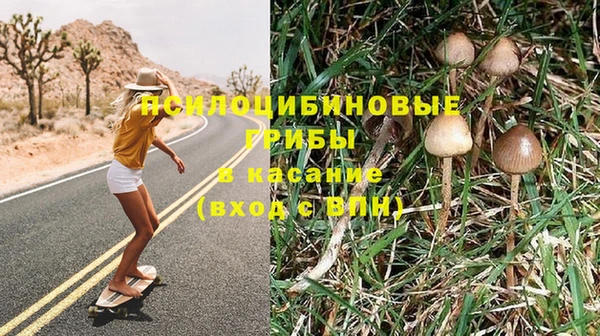гашик Вяземский