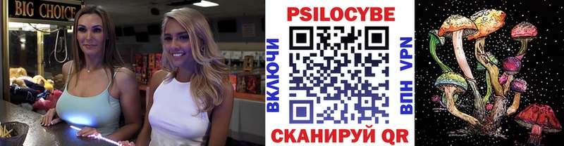 Псилоцибиновые грибы MAGIC MUSHROOMS  дарк нет Telegram  Грязи 